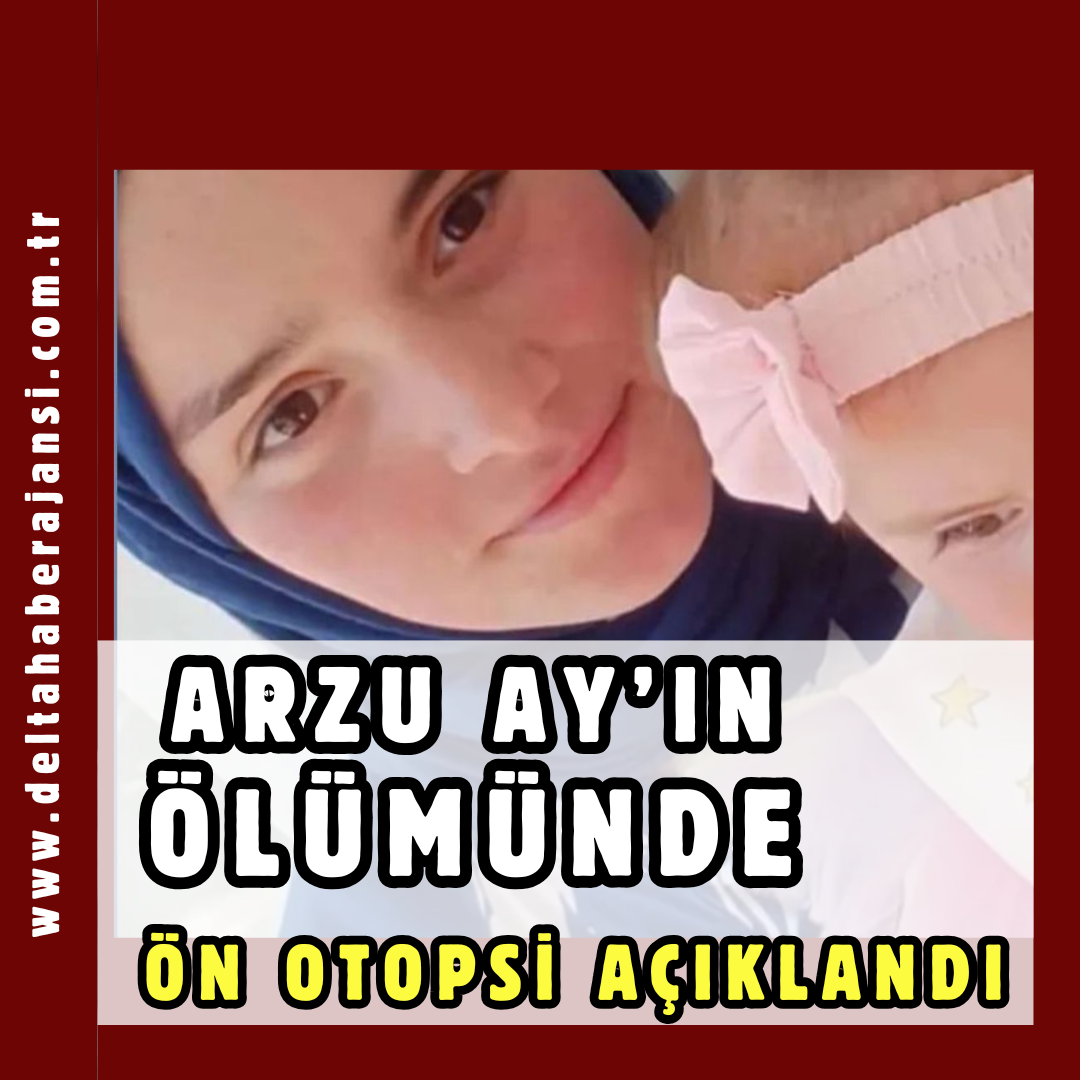 Arzu Ay