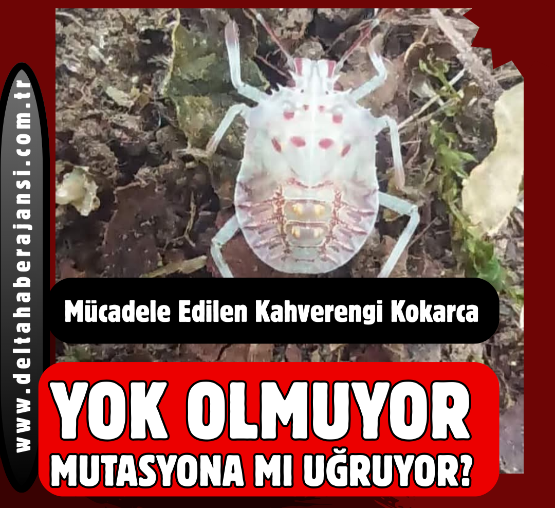 YOK OLMUYOR MUTASYONA MI UĞRUYOR?