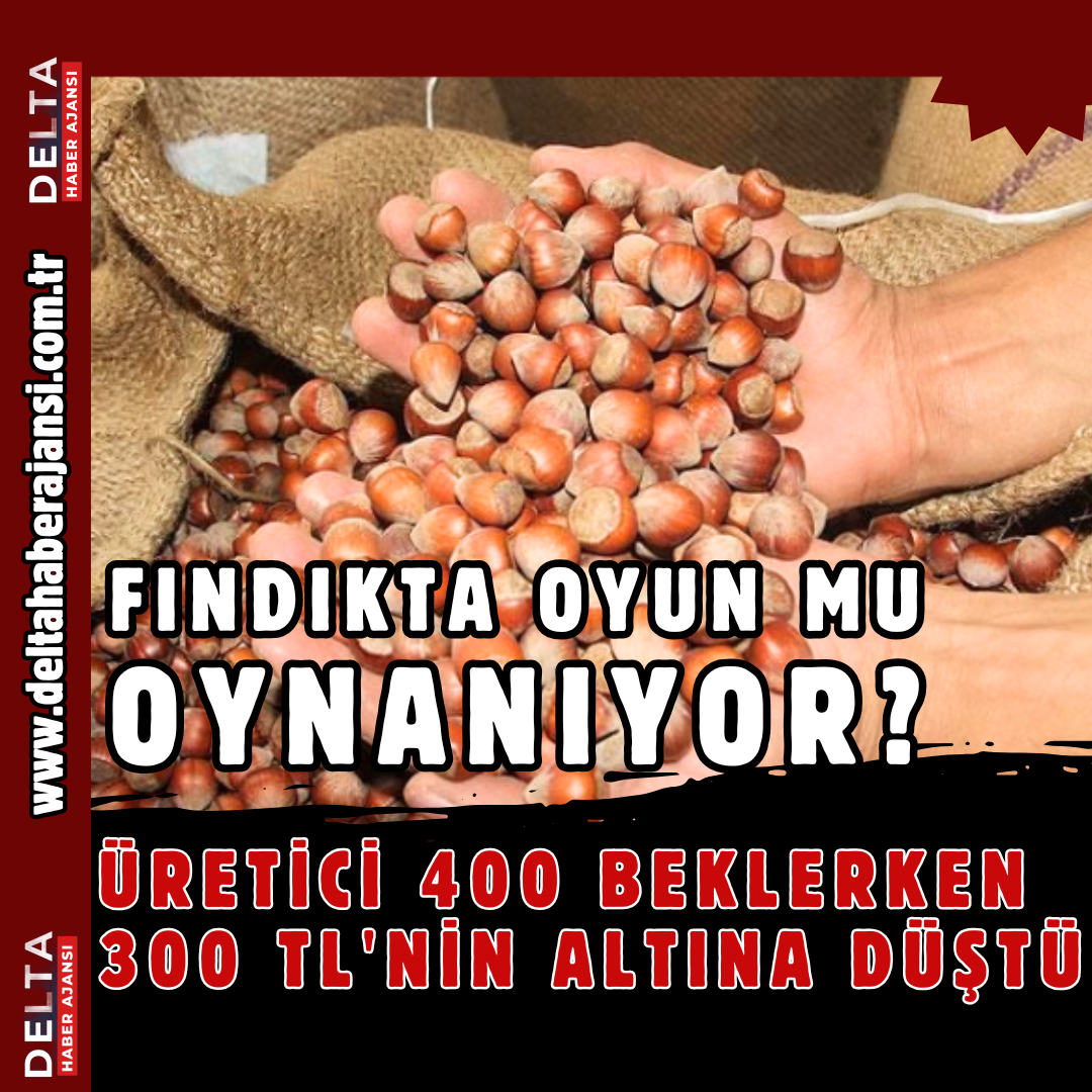 Fındıkta Oyun Mu Oynanıyor?400 TL beklenirken, 300 TL